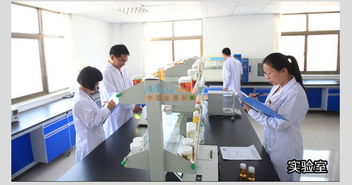 优化反渗透膜系统的关键 专业技术与及时作用